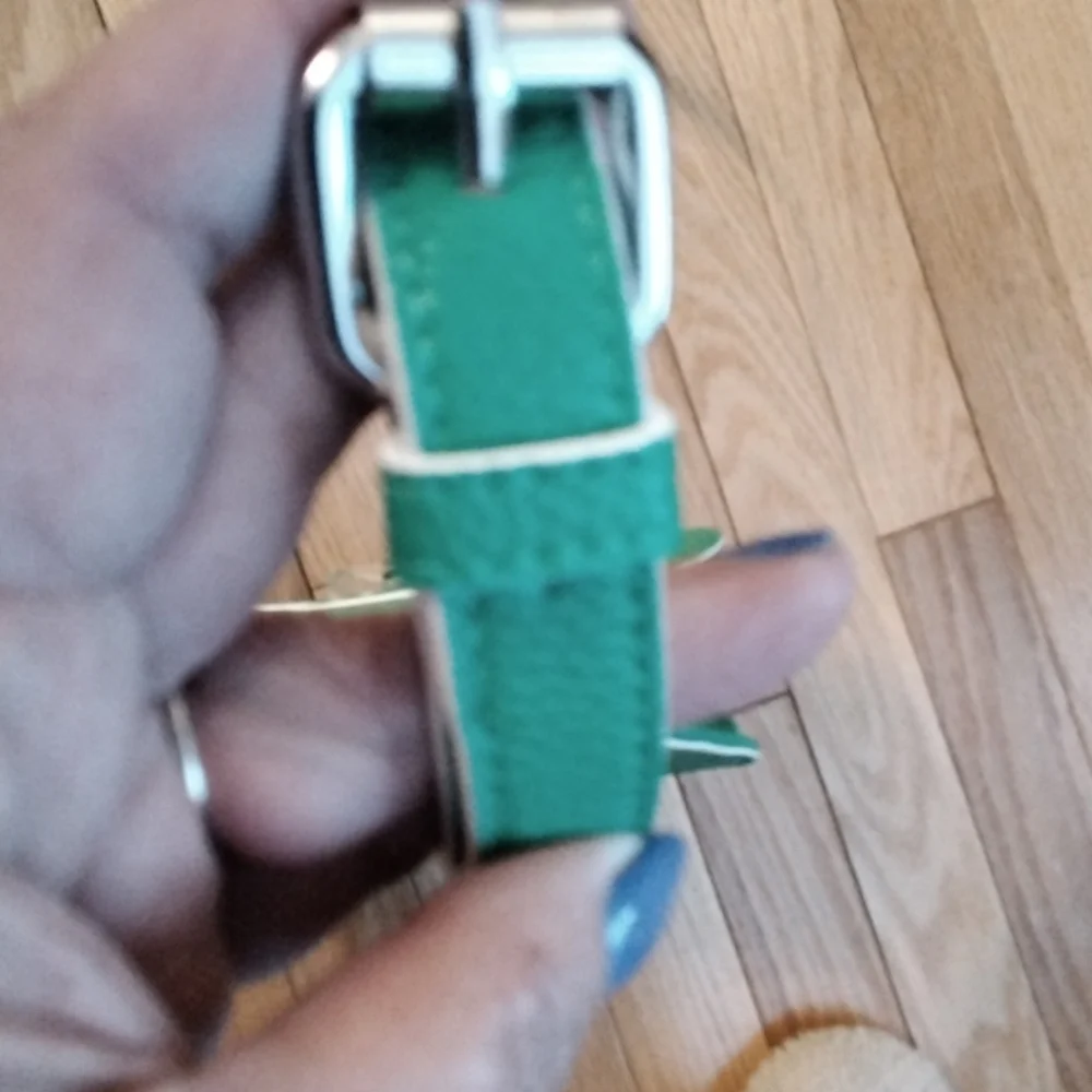 - - Lulu Guinness kelly green crossbody bag